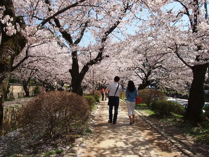 10 Best Places to Propose in The Japan